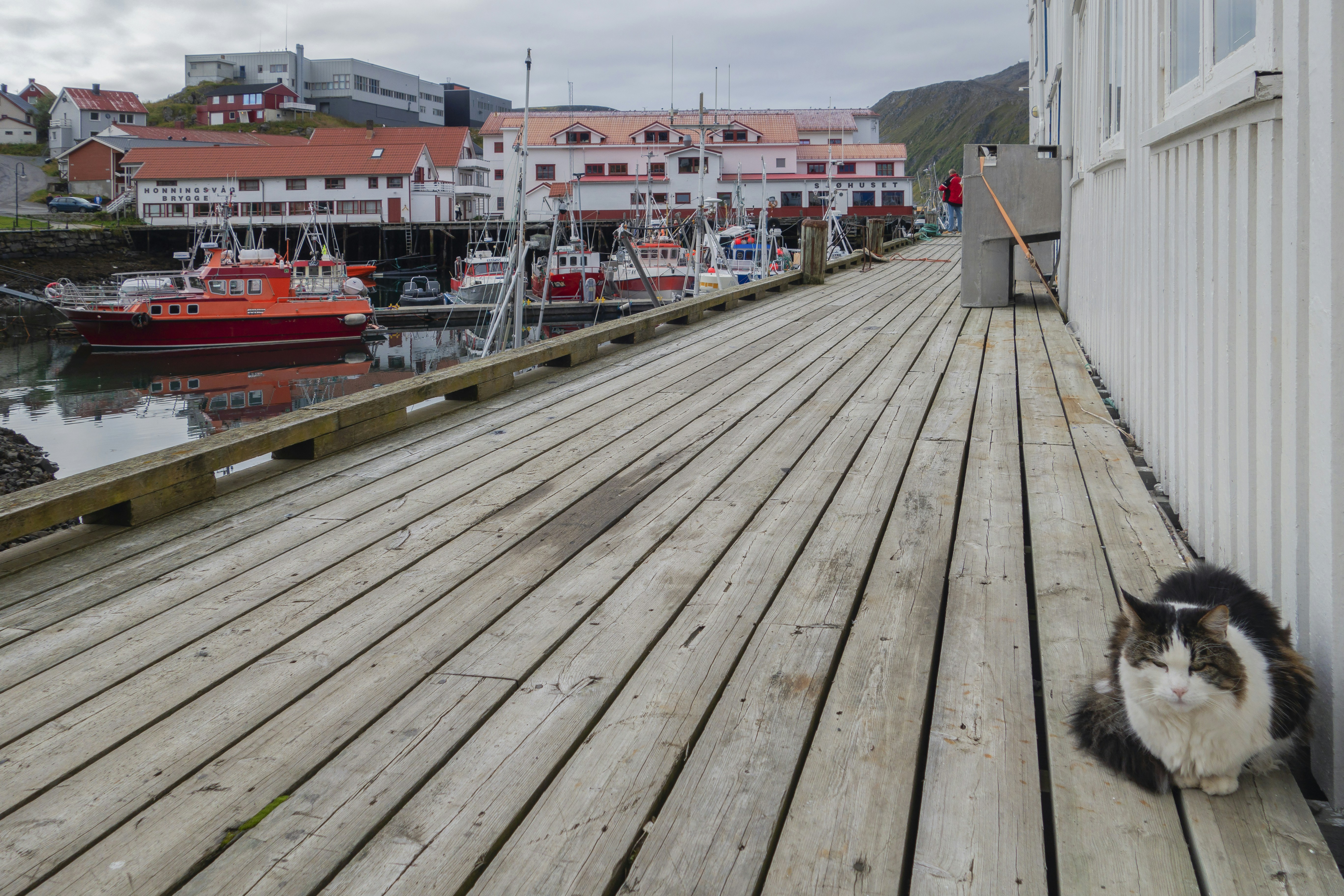 Honningsvåg Harbor