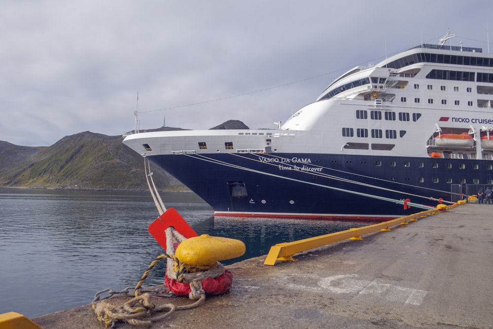 a large cruise ship docked at a dock