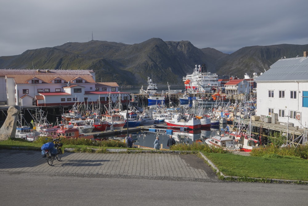 a man riding a bike down a street next to a marina