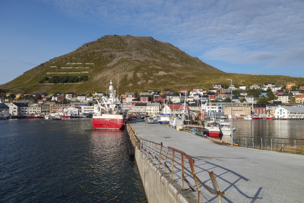 a harbor with a mountain in the background