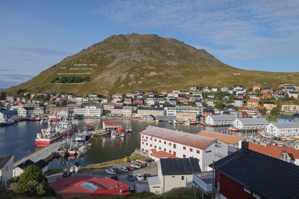 a view of a harbor with a mountain in the background