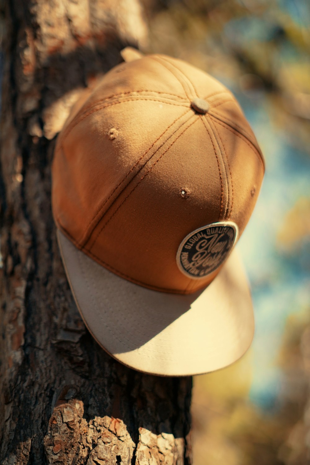 a brown and white hat on top of a tree