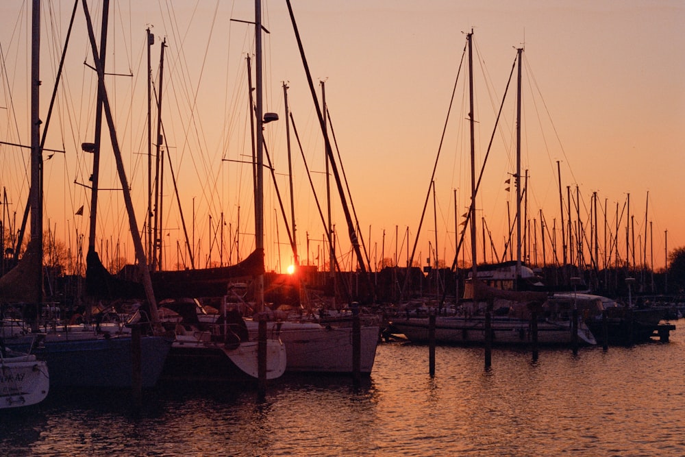 a group of sailboats sitting in a harbor at sunset