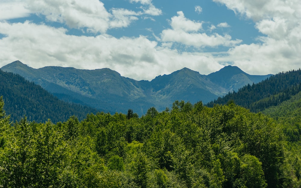 a view of a mountain range with trees in the foreground