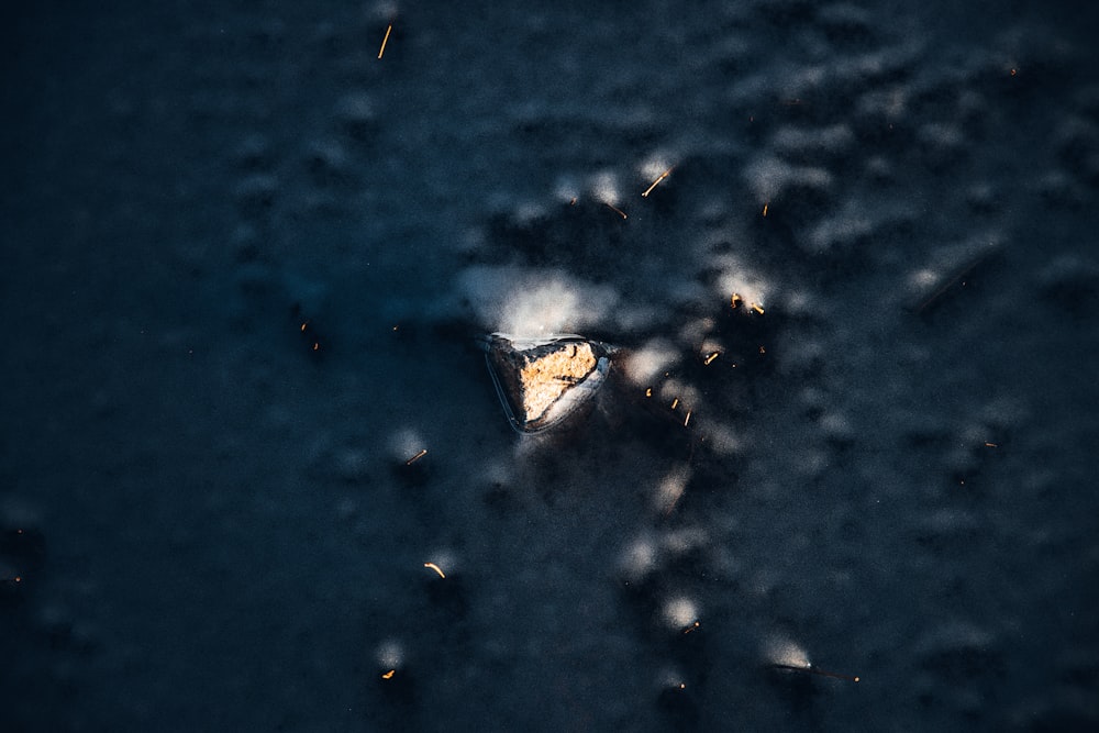 an aerial view of a piece of food in the snow