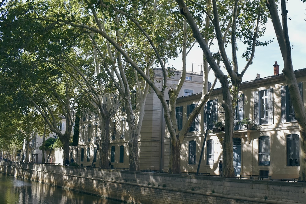 a row of houses next to a river