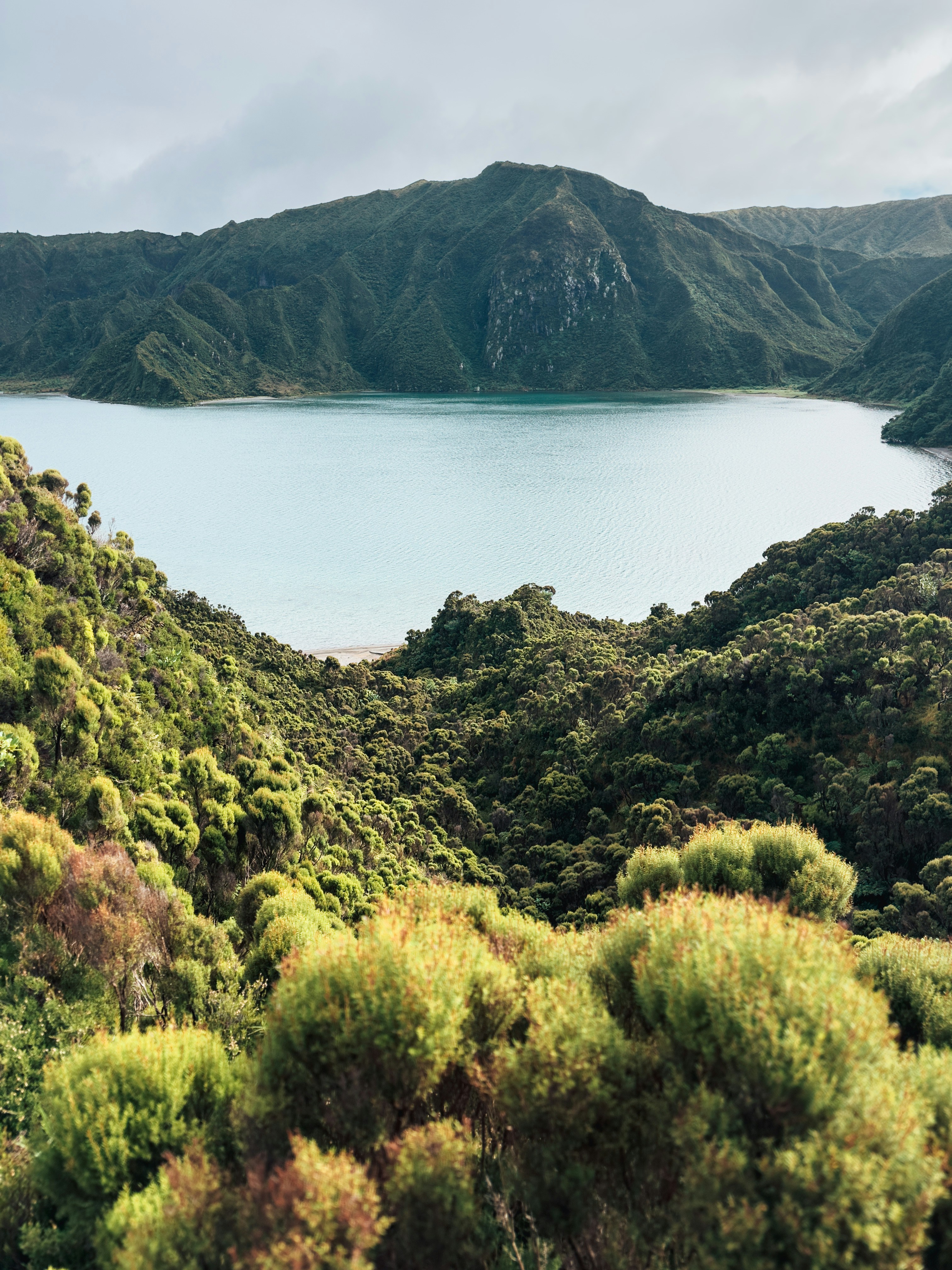 a large body of water surrounded by lush green trees