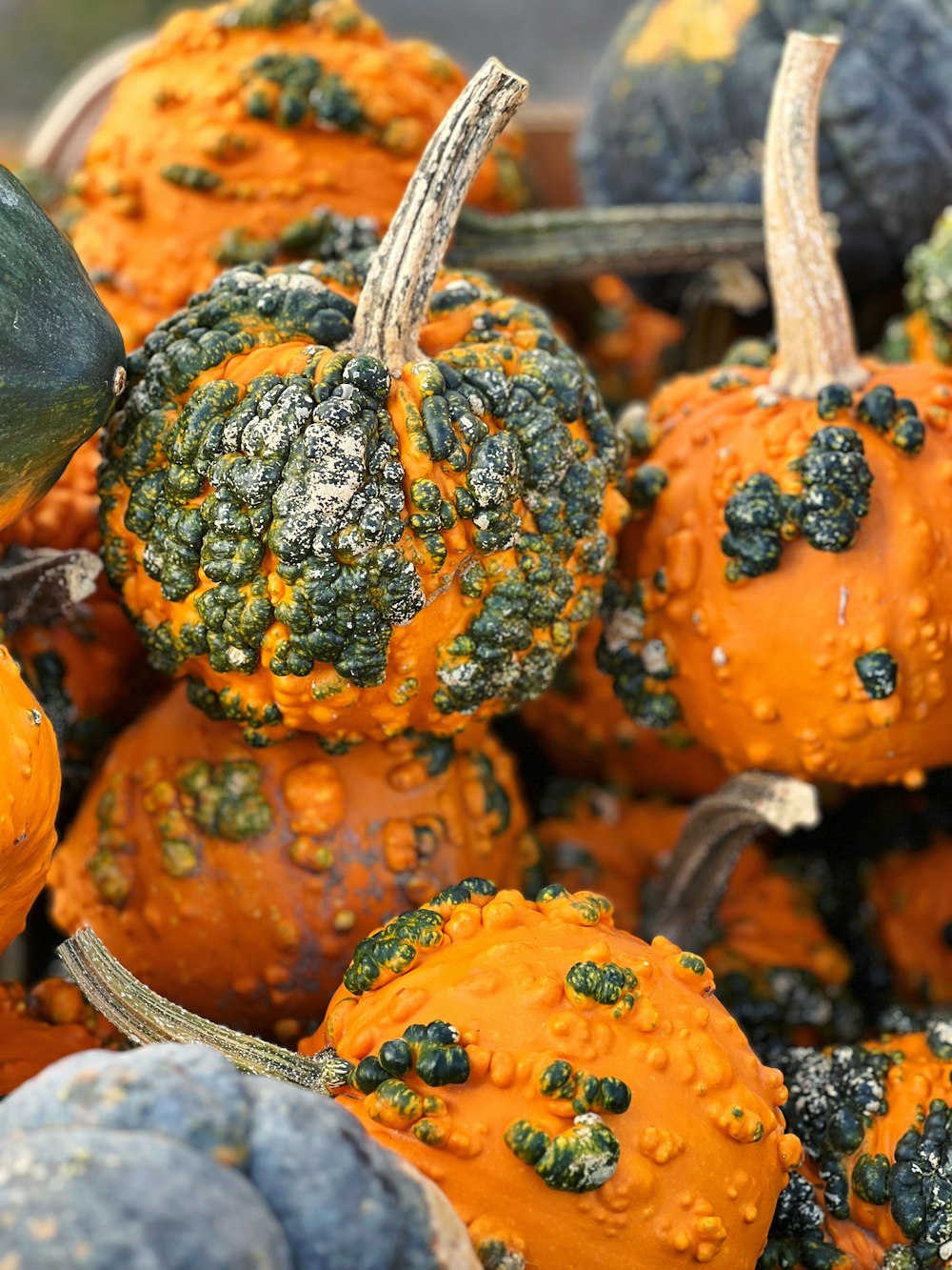 a pile of pumpkins with green and yellow decorations