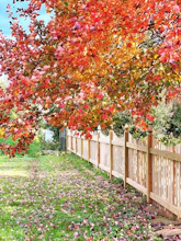 a wooden fence with a row of trees in the background