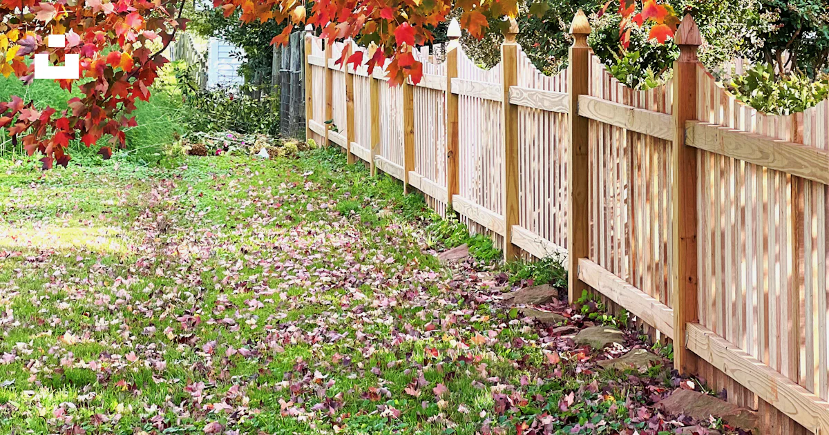 A wooden fence with a row of trees in the background photo – Free ...