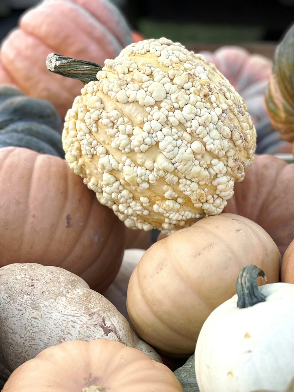 a bunch of pumpkins that are sitting on a table