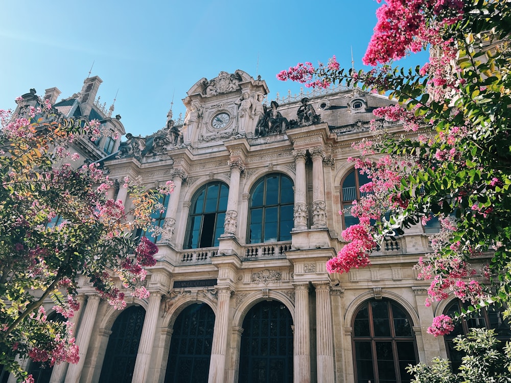 a large building with lots of windows and flowers