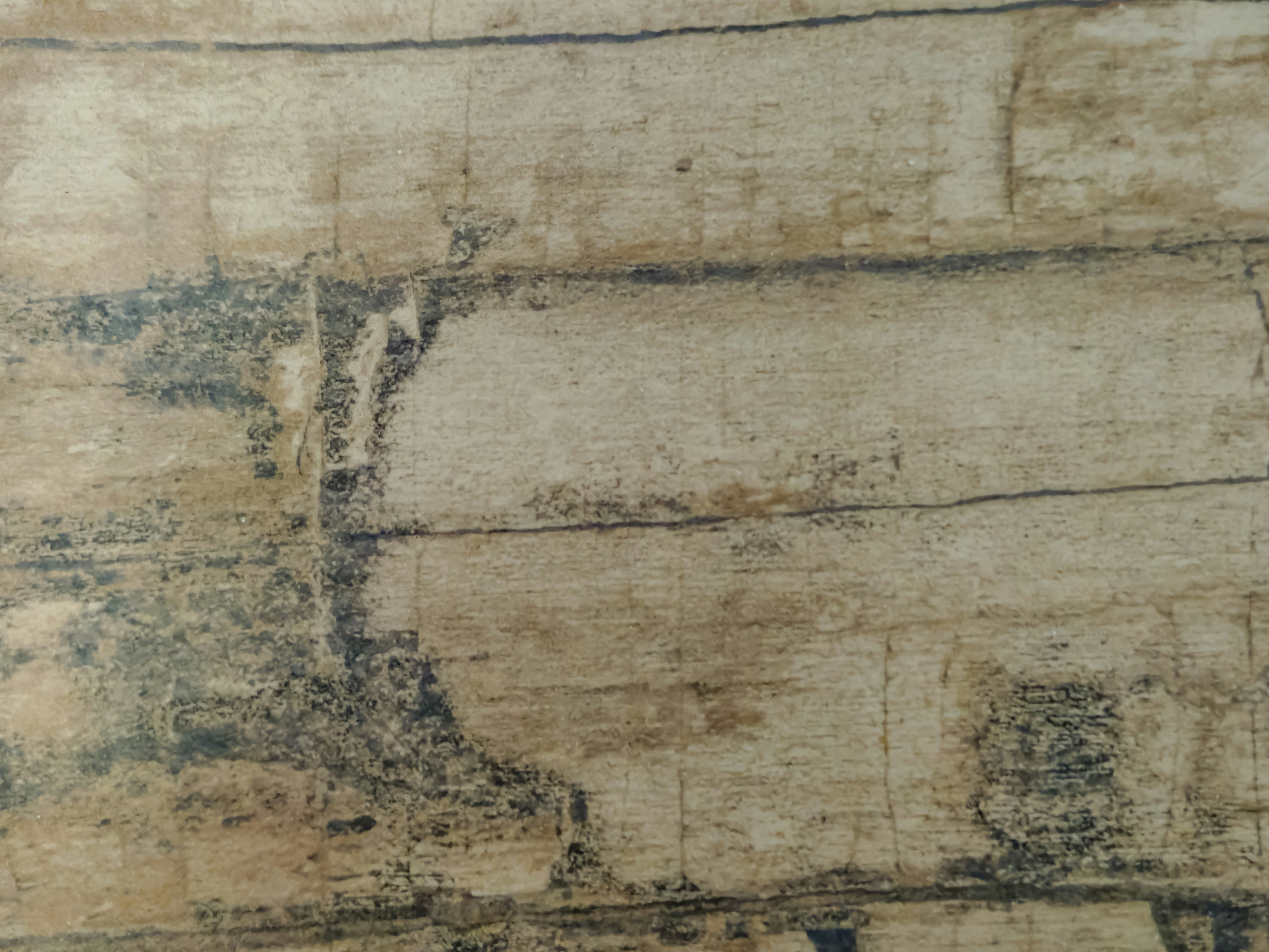 Photo by artist_shim