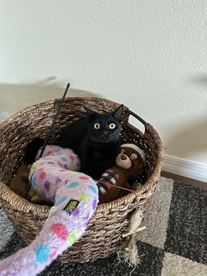 a black cat sitting in a basket on the floor