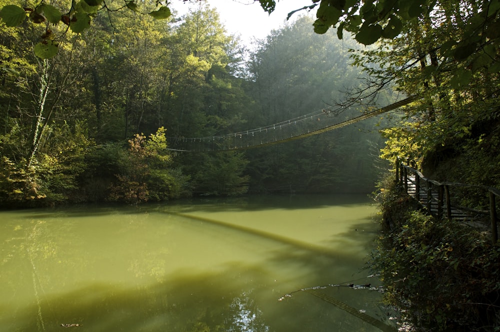 a body of water surrounded by trees and a bridge