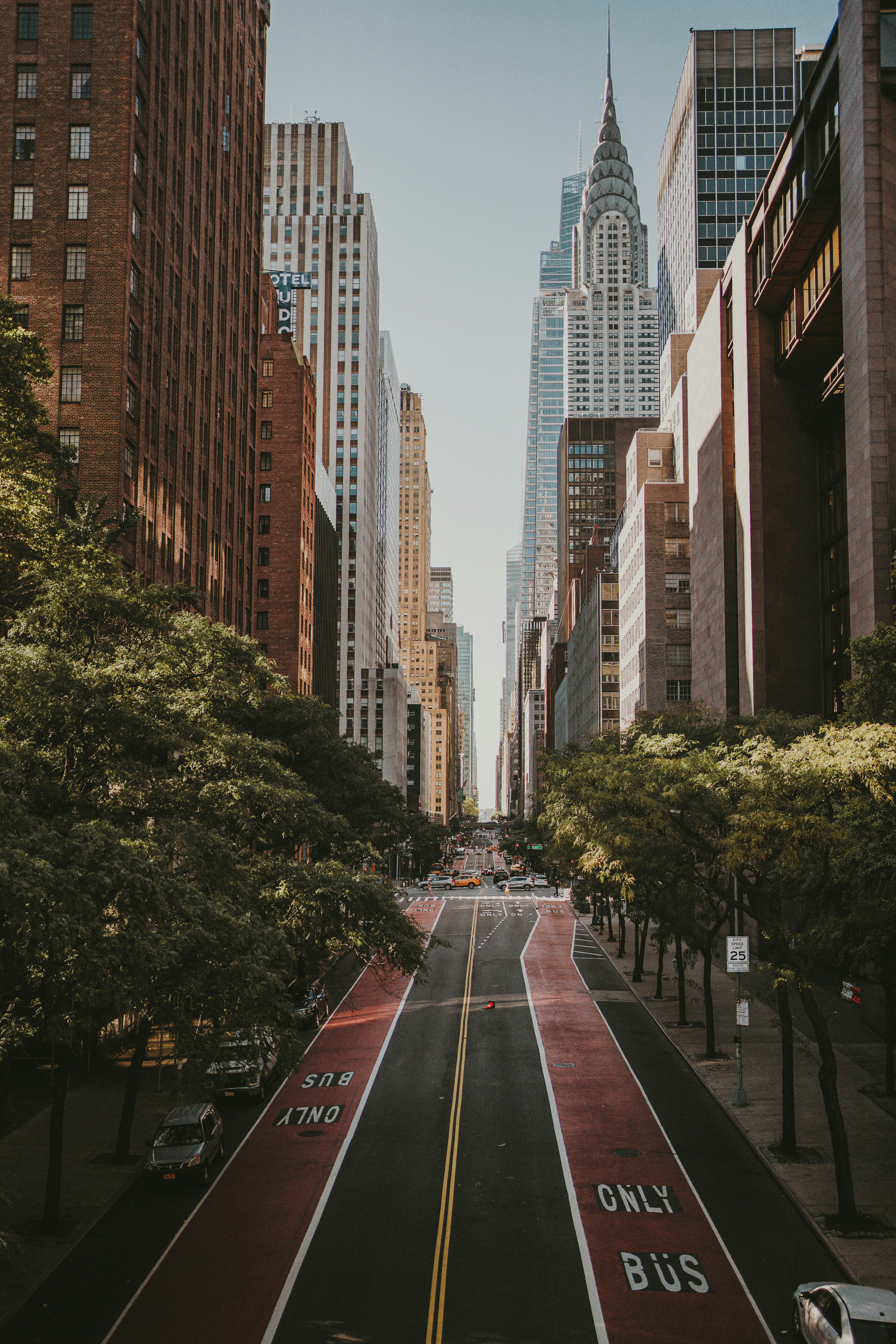 a city street lined with tall buildings and trees