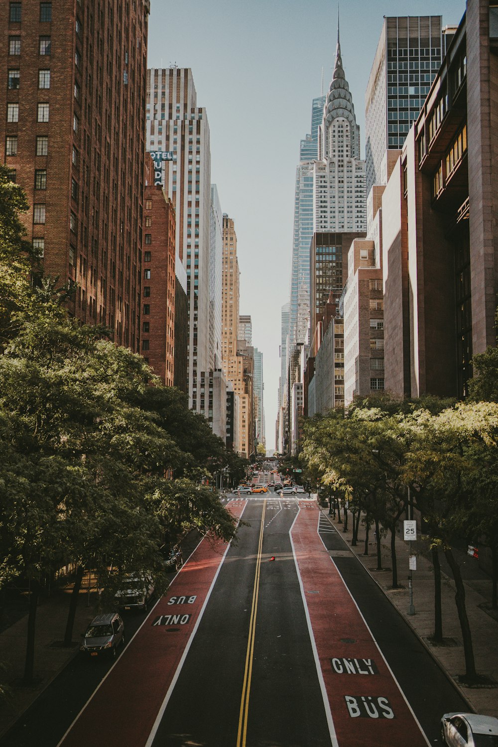 a city street lined with tall buildings and trees