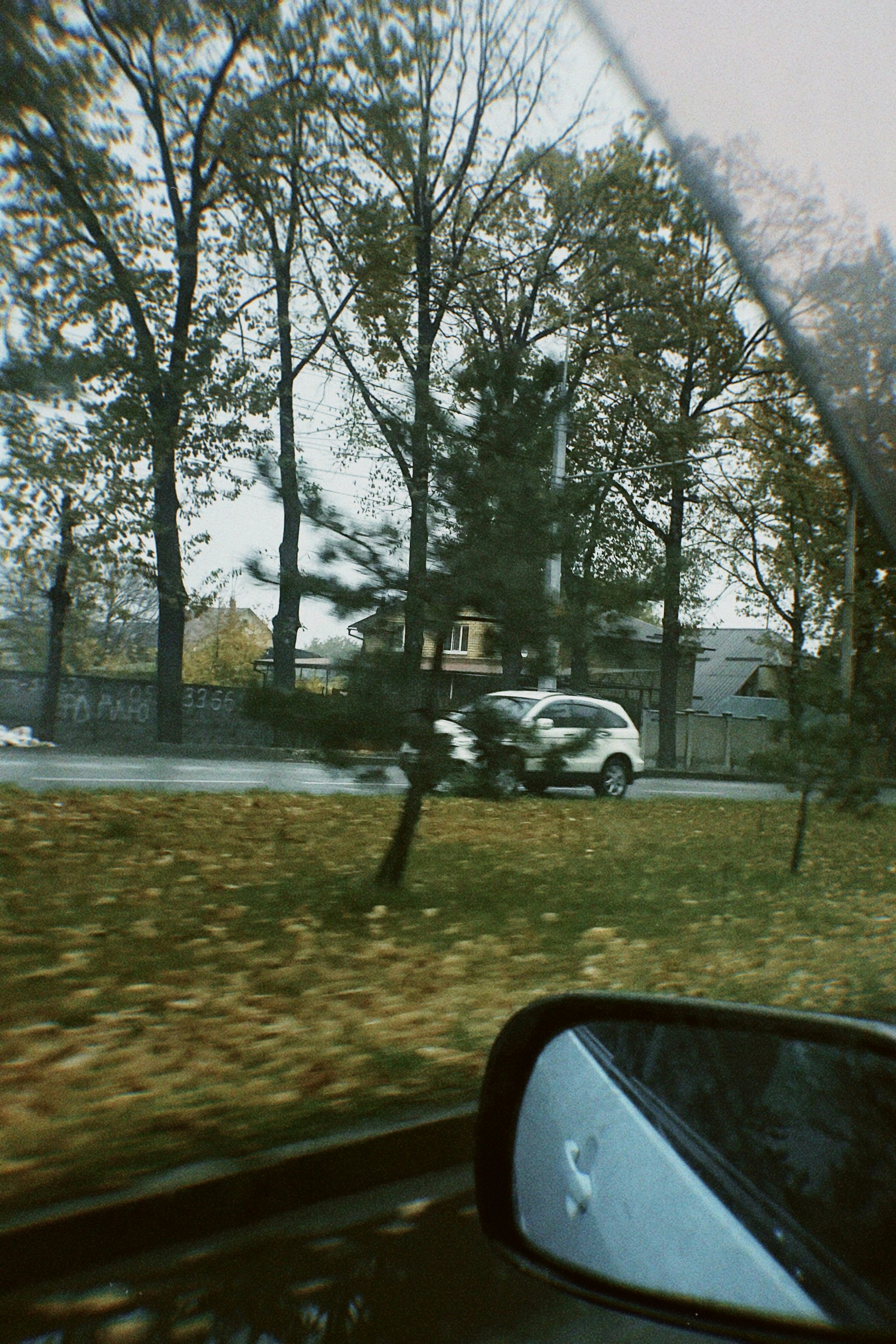 Photo by vvivvat