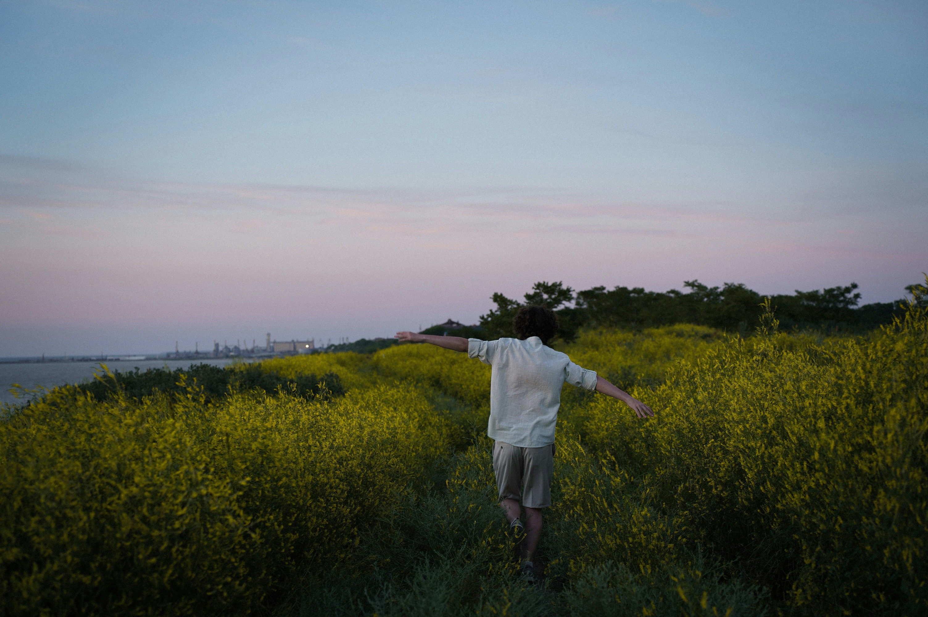 A person is walking through a field of tall green plants under a clear evening sky. The horizon is visible with distant factory buildings or industrial structures. The person is wearing a light-colored shirt and shorts and has arms stretched out, moving through the path surrounded by lush greenery.
