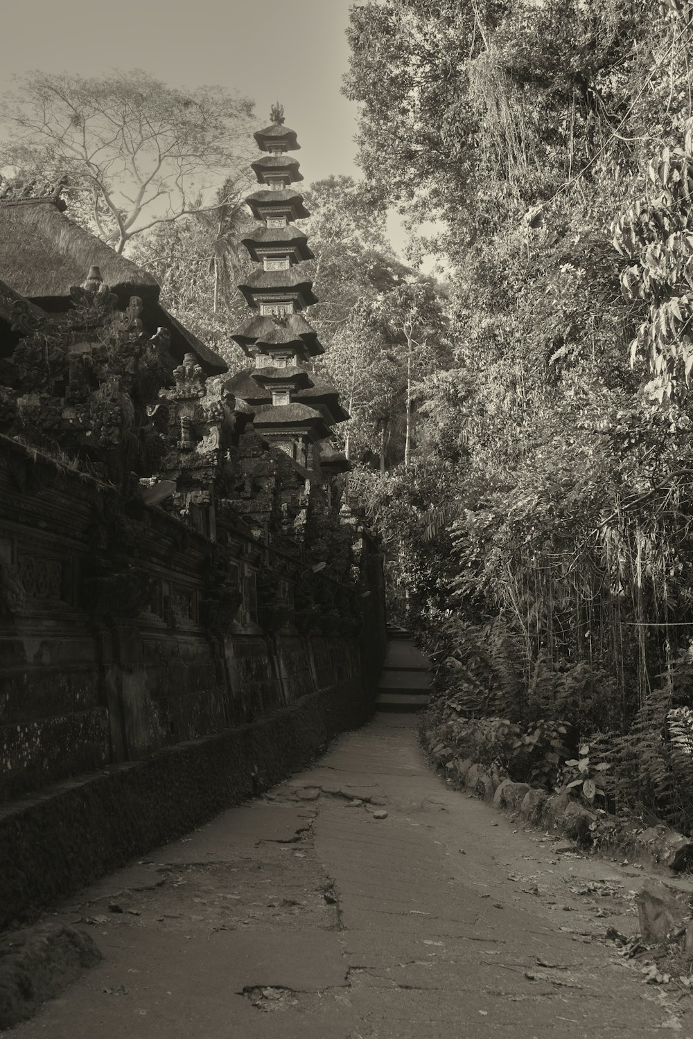 a black and white photo of a path with a pagoda in the background