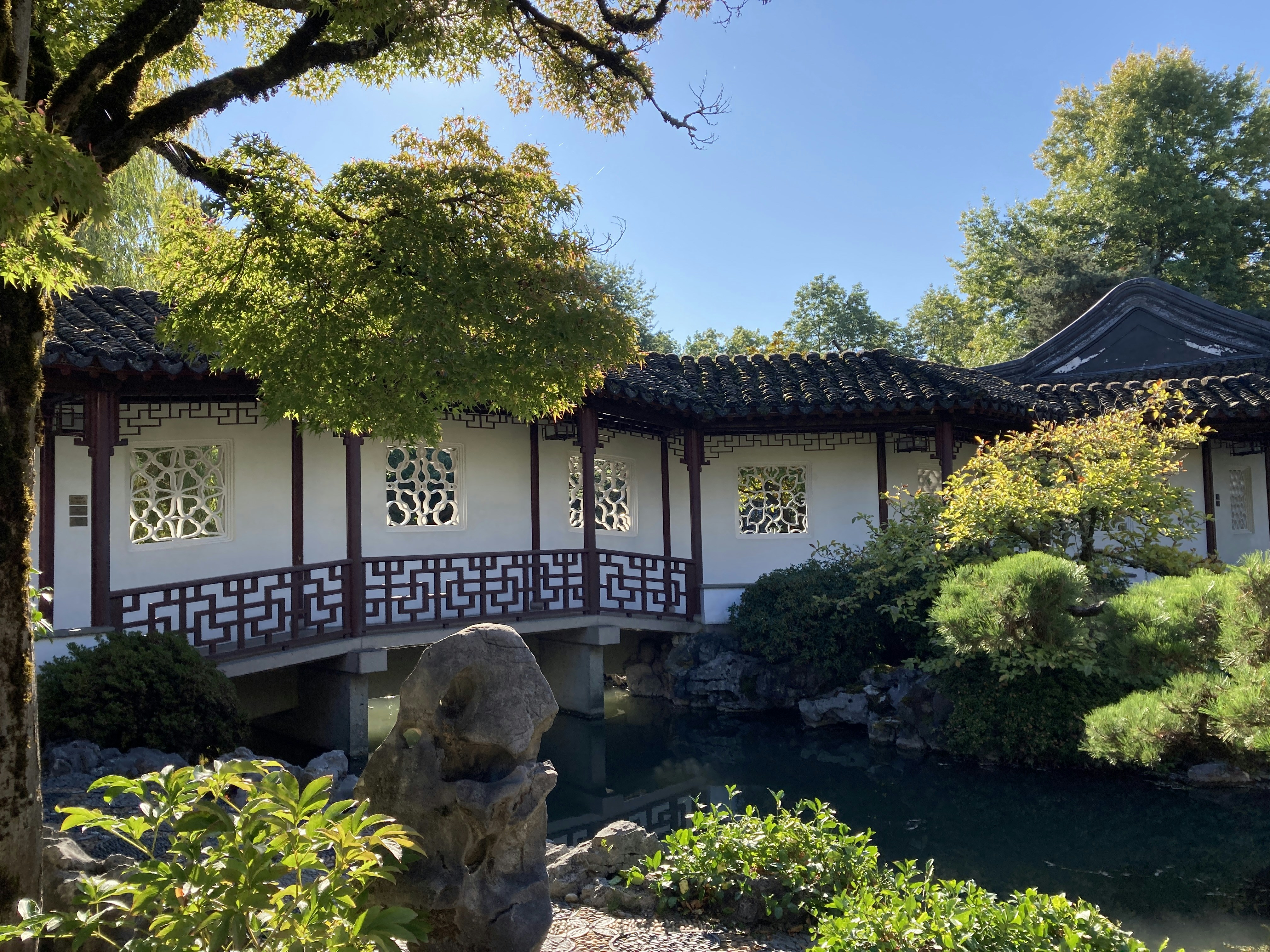 Dr. Sun Yat-Sen Classical Chinese Garden photo 2