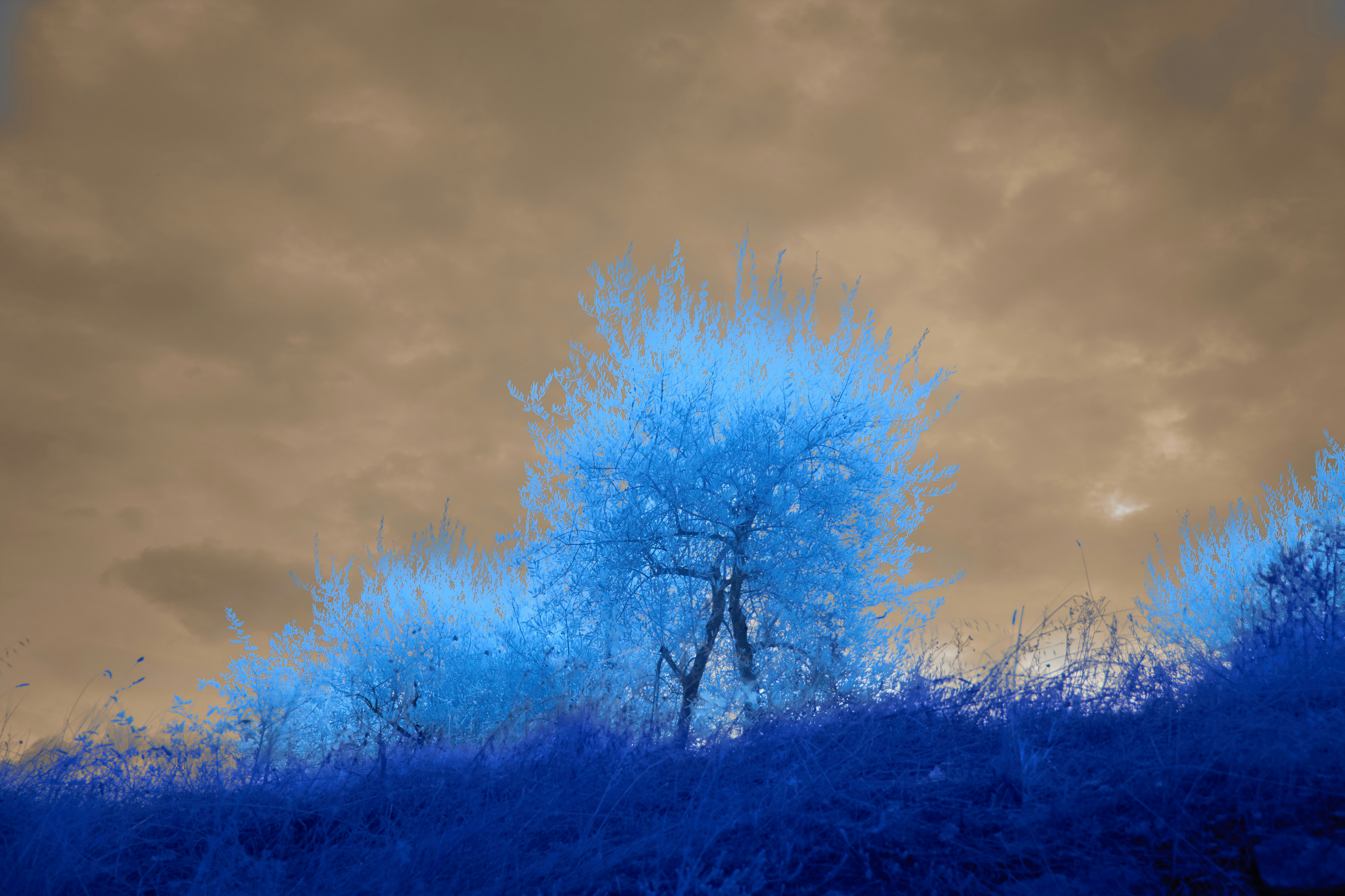 Photo by wolfgang_hasselmann