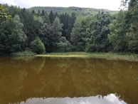 A serene image of a nature retreat, symbolizing personal growth and reflection.