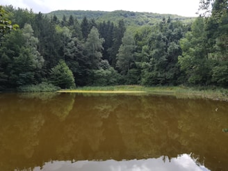 A serene image of a nature retreat, symbolizing personal growth and reflection.