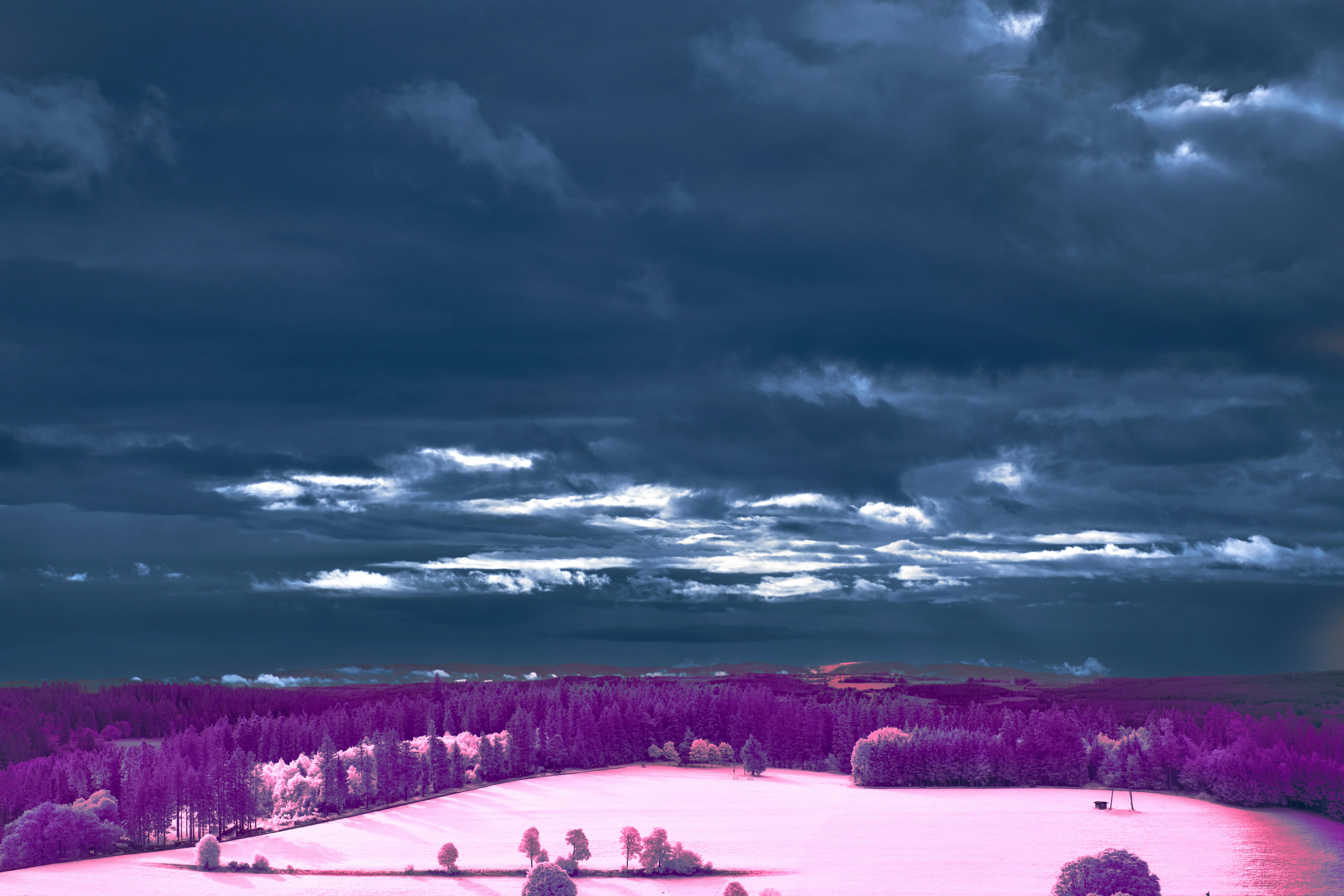 Photo by wolfgang_hasselmann