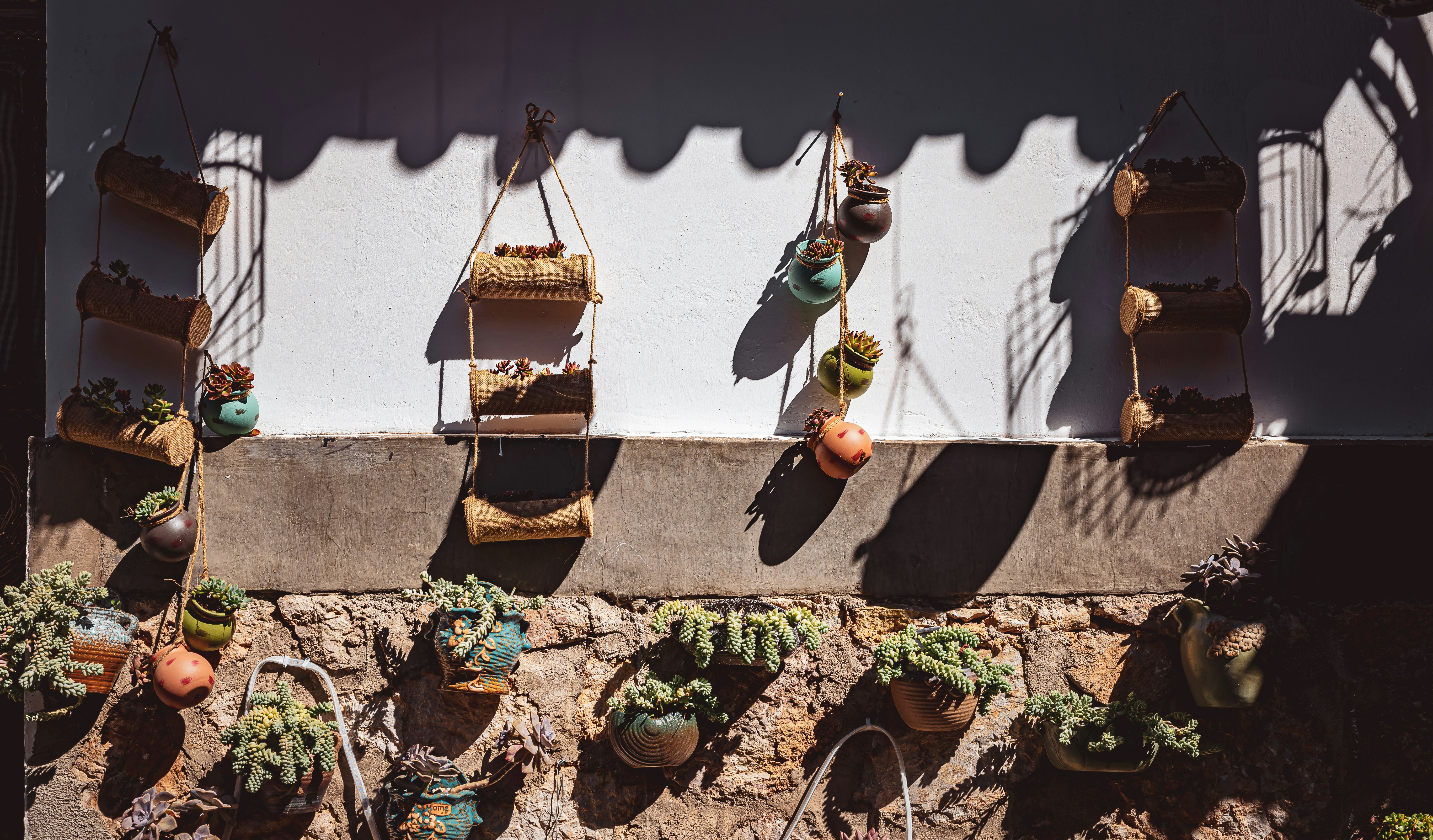 a bunch of pots and plants hanging on a wall, A group of pots and plants hanging on a wall