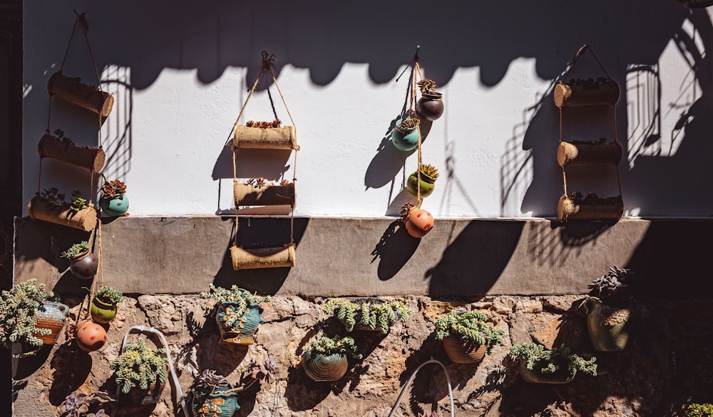 a bunch of pots and plants hanging on a wall