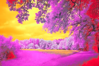 A vibrant photo print showcasing a colorful landscape.