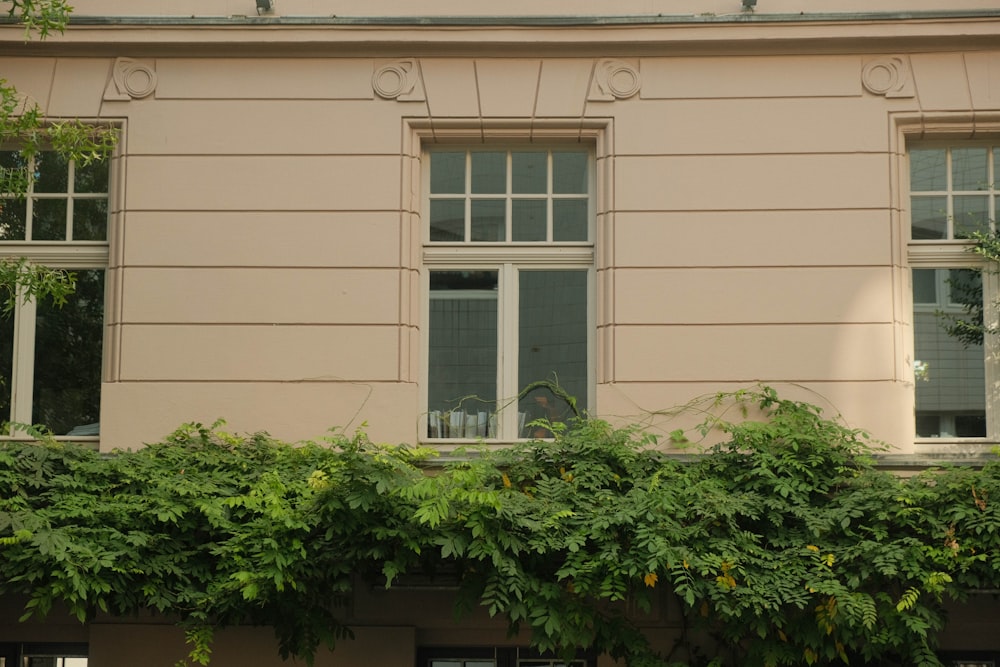 a building with a bunch of green plants growing on the side of it