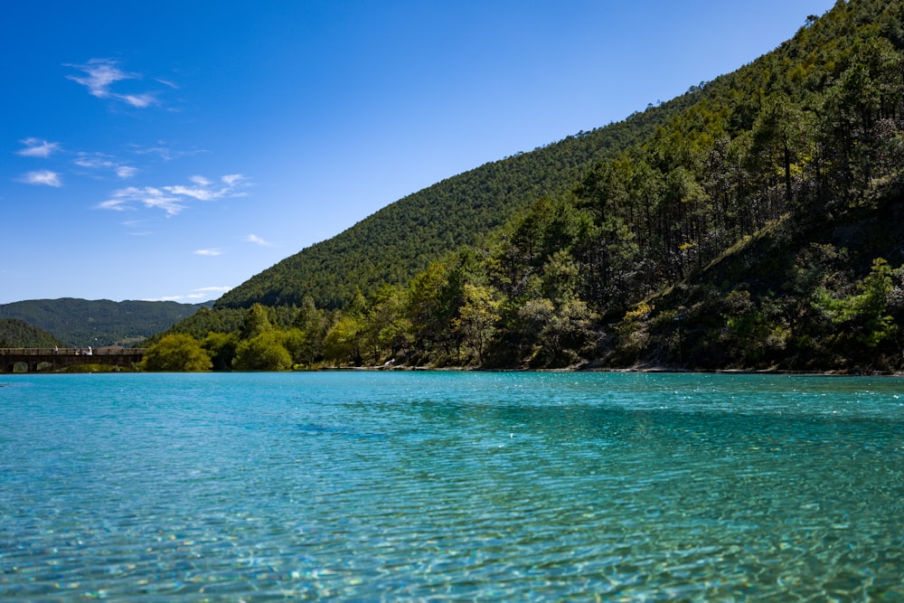 a body of water surrounded by mountains and trees