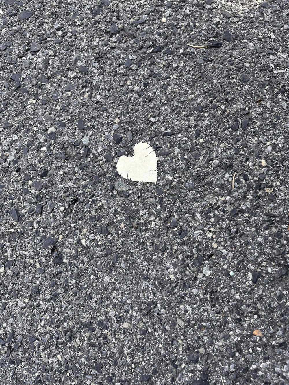 a heart shaped piece of paper on the ground