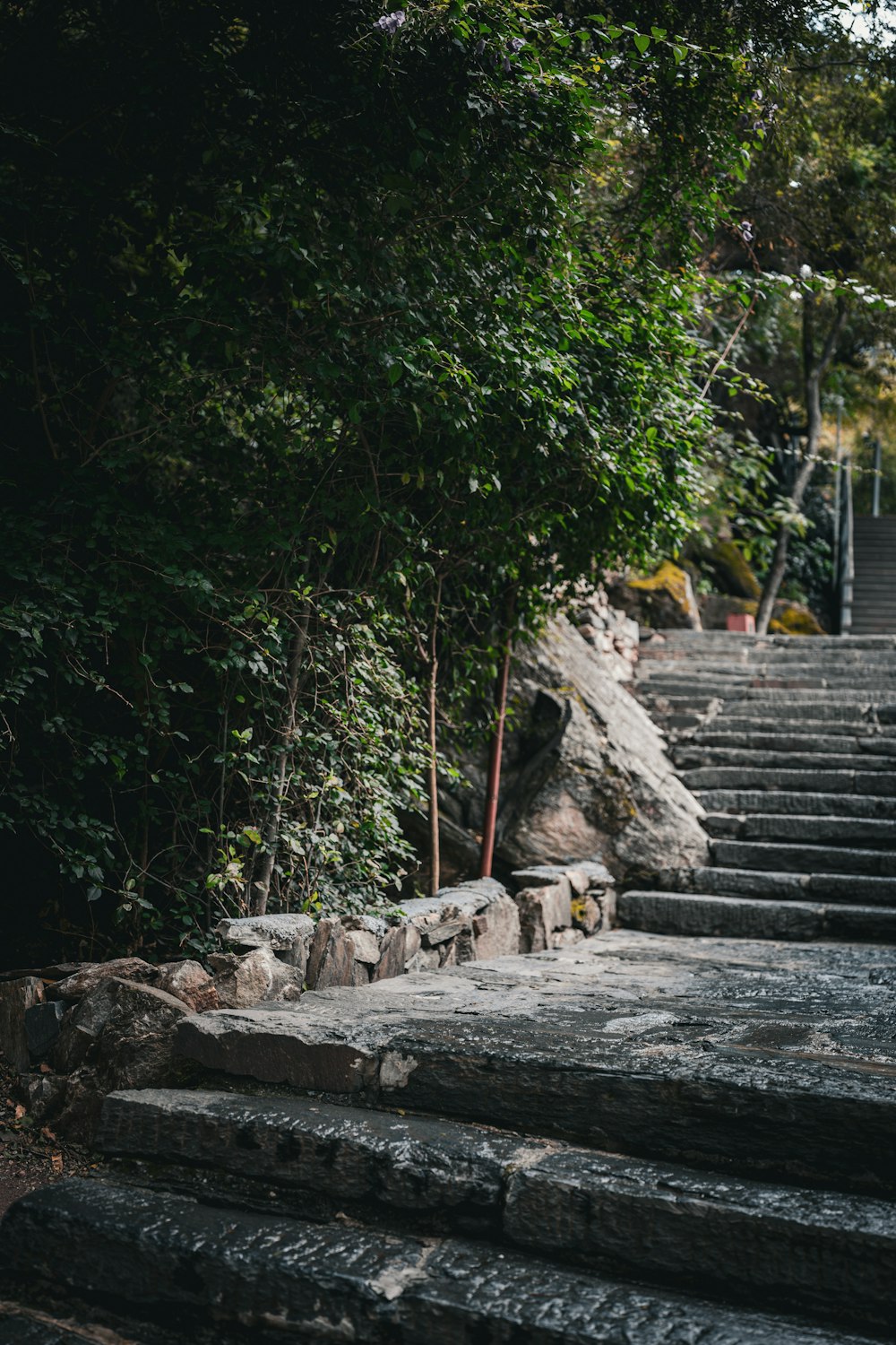 a bunch of steps that are next to some trees