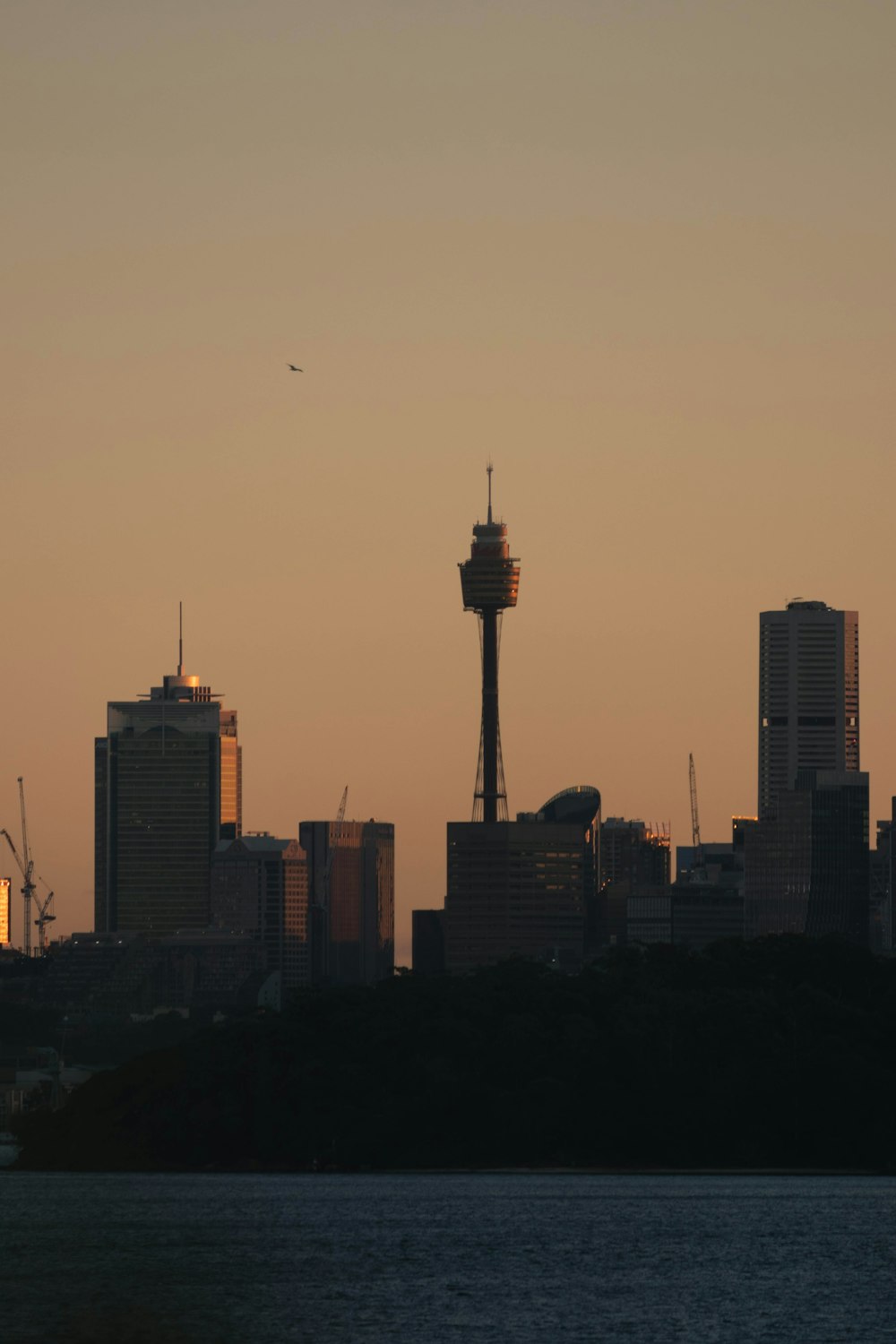 a view of a city with a water tower in the background