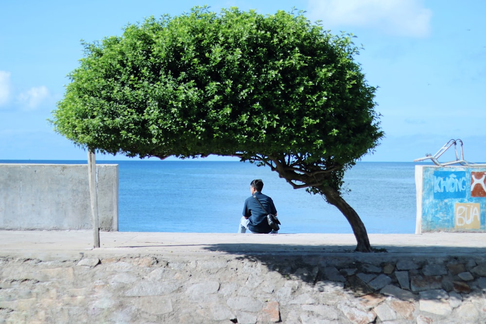 a man sitting under a tree next to the ocean