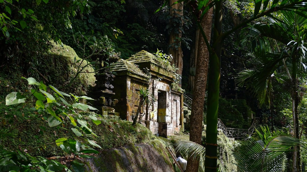 a small building in the middle of a jungle