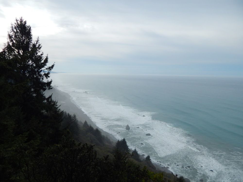 a view of the ocean from the top of a hill