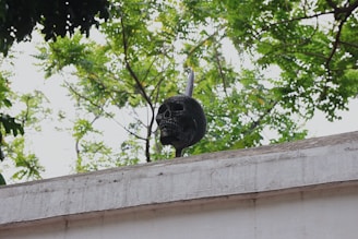 A skull mounted atop a spear positioned on a white concrete wall with a backdrop of lush green trees.