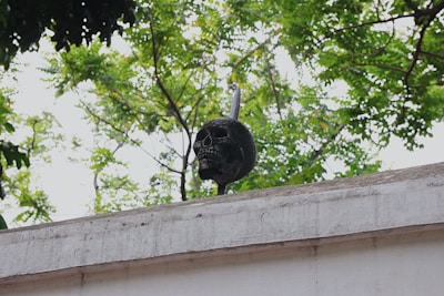 A skull mounted atop a spear positioned on a white concrete wall with a backdrop of lush green trees.