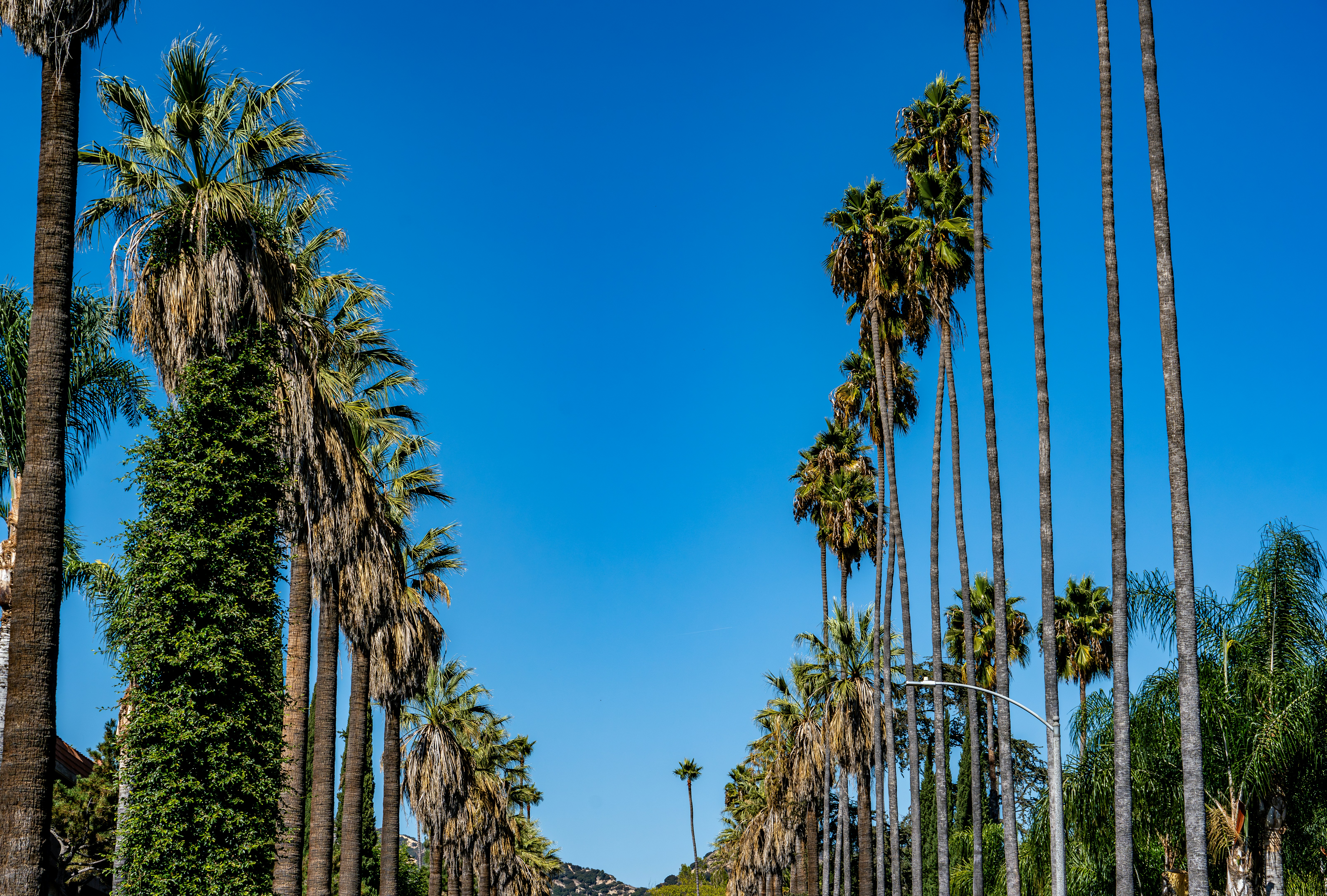 Photo by chris_robert