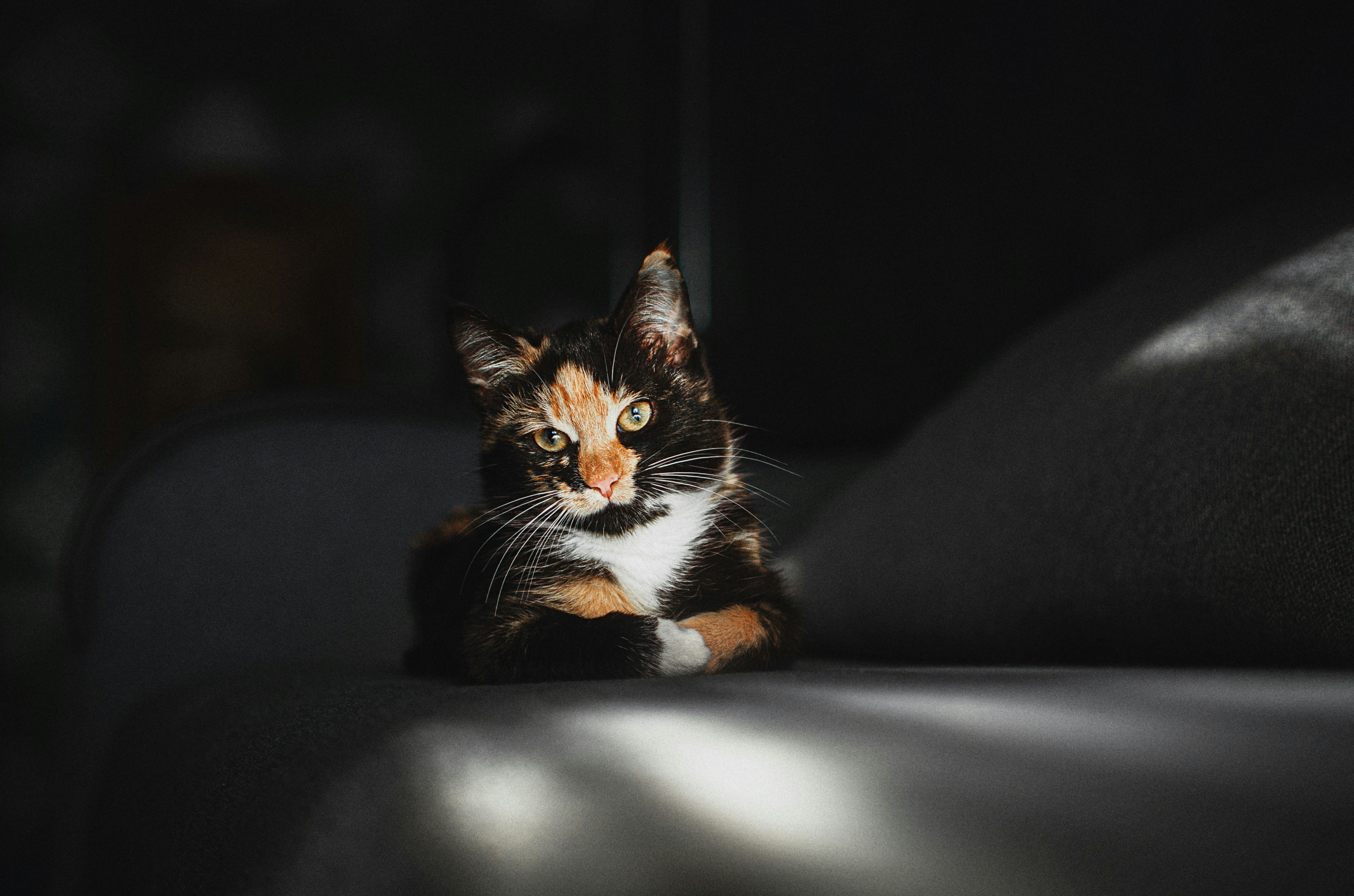 Photo by vitaliyshev89