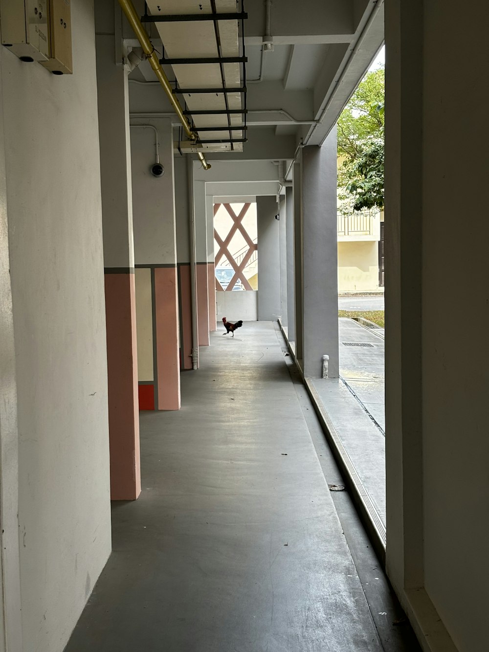 a long hallway with a cat sitting on the floor