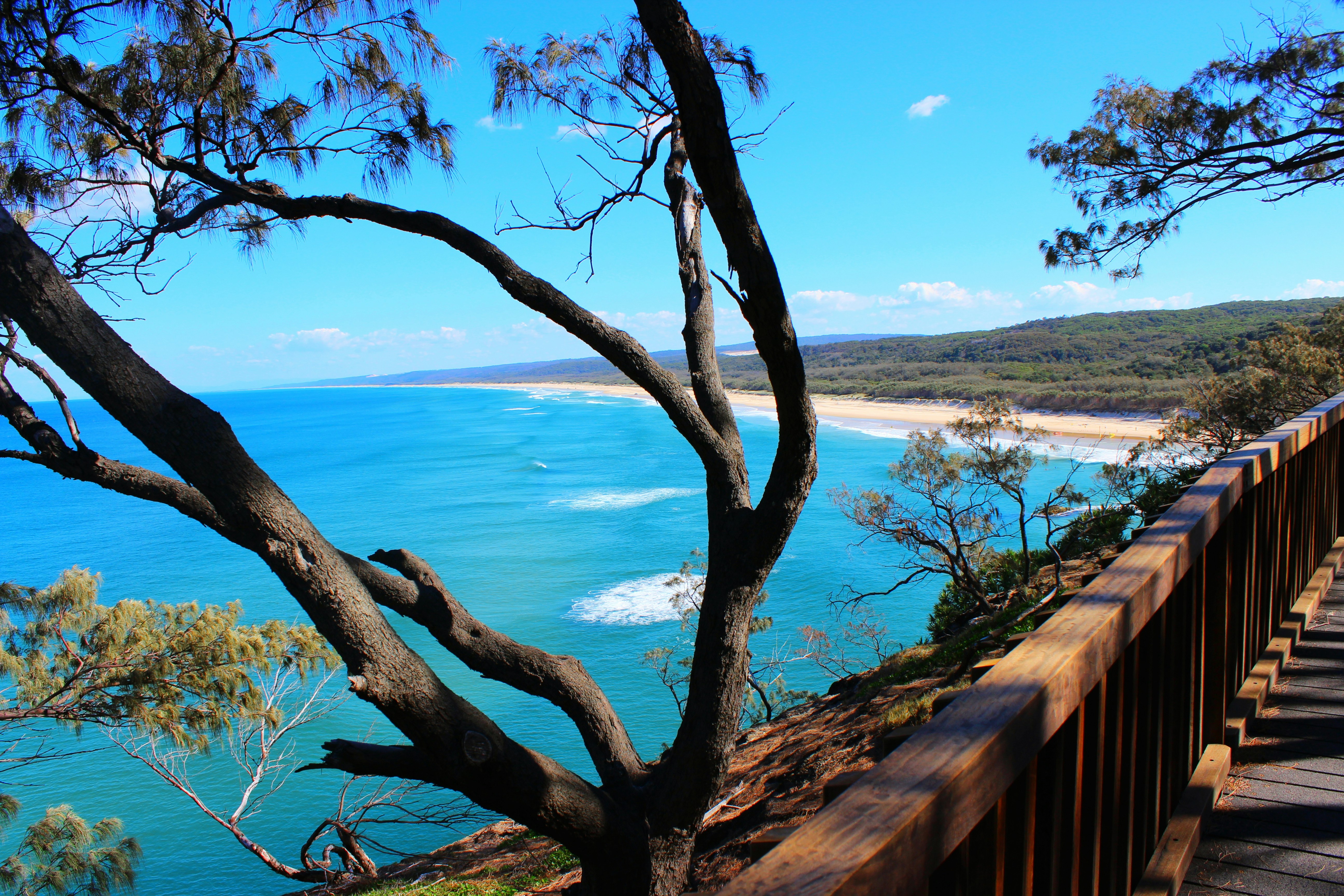 Forestdale, Queensland