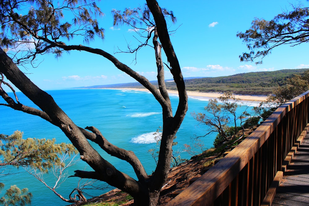 a view of the ocean from a wooden walkway