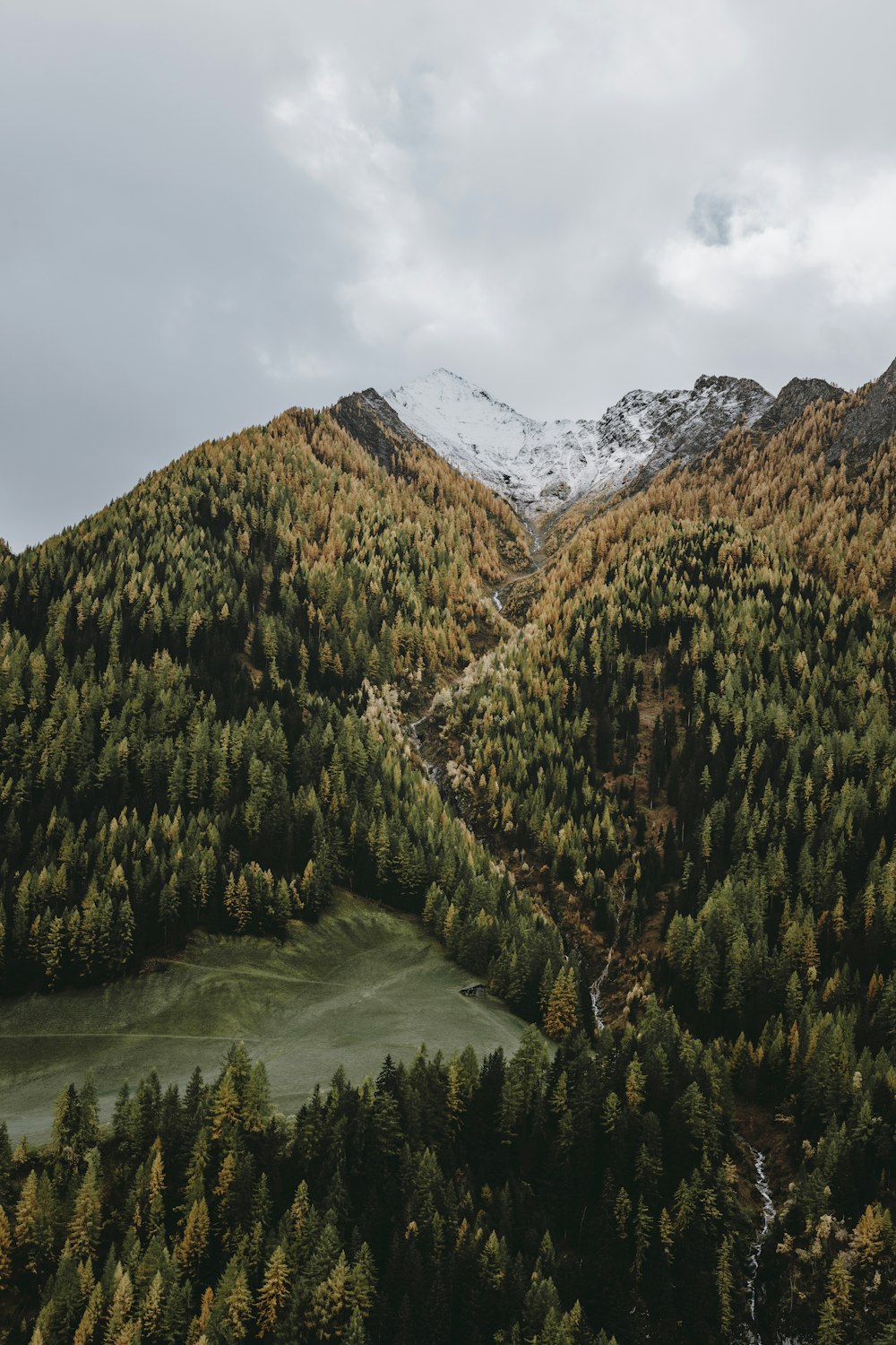 a view of a mountain with trees and snow on the top