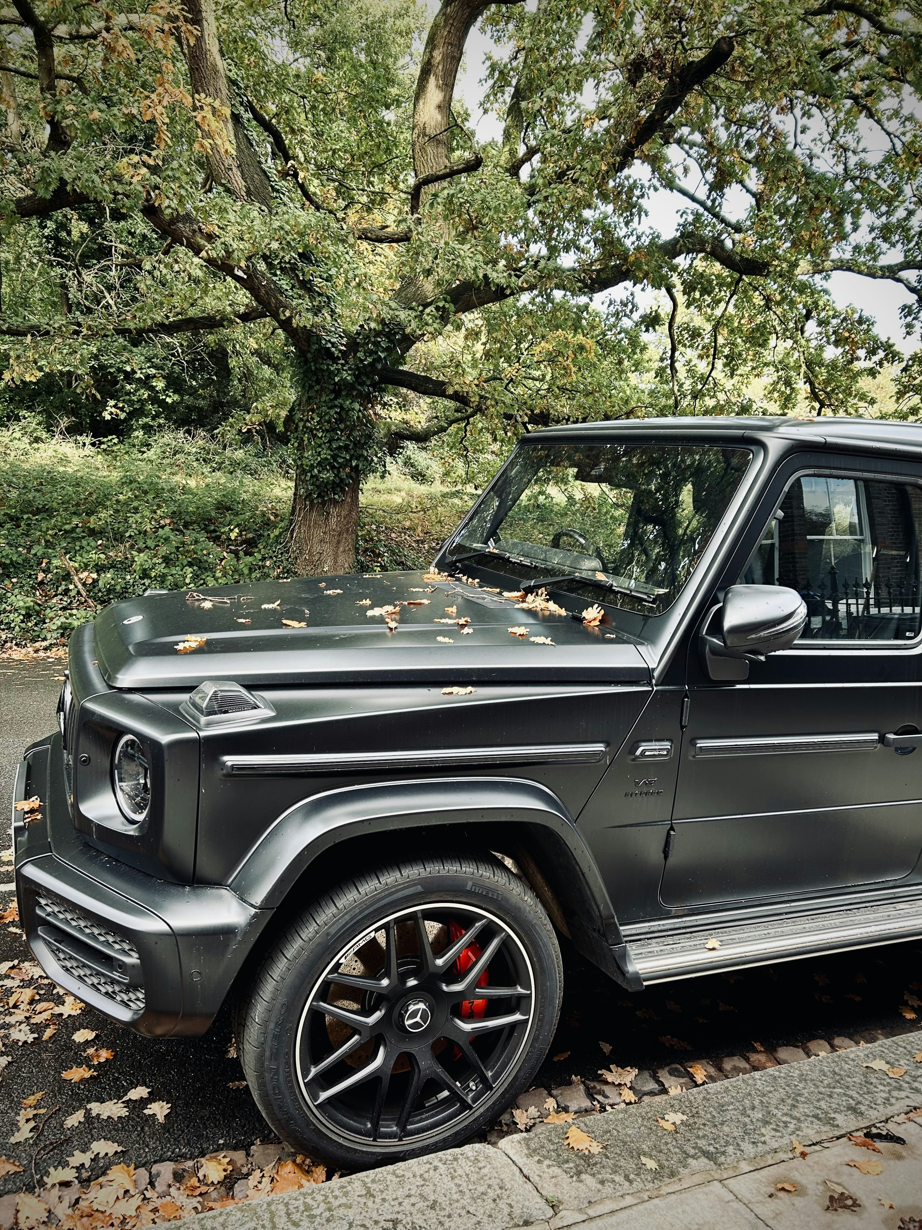 Photo by cosmicomicfox