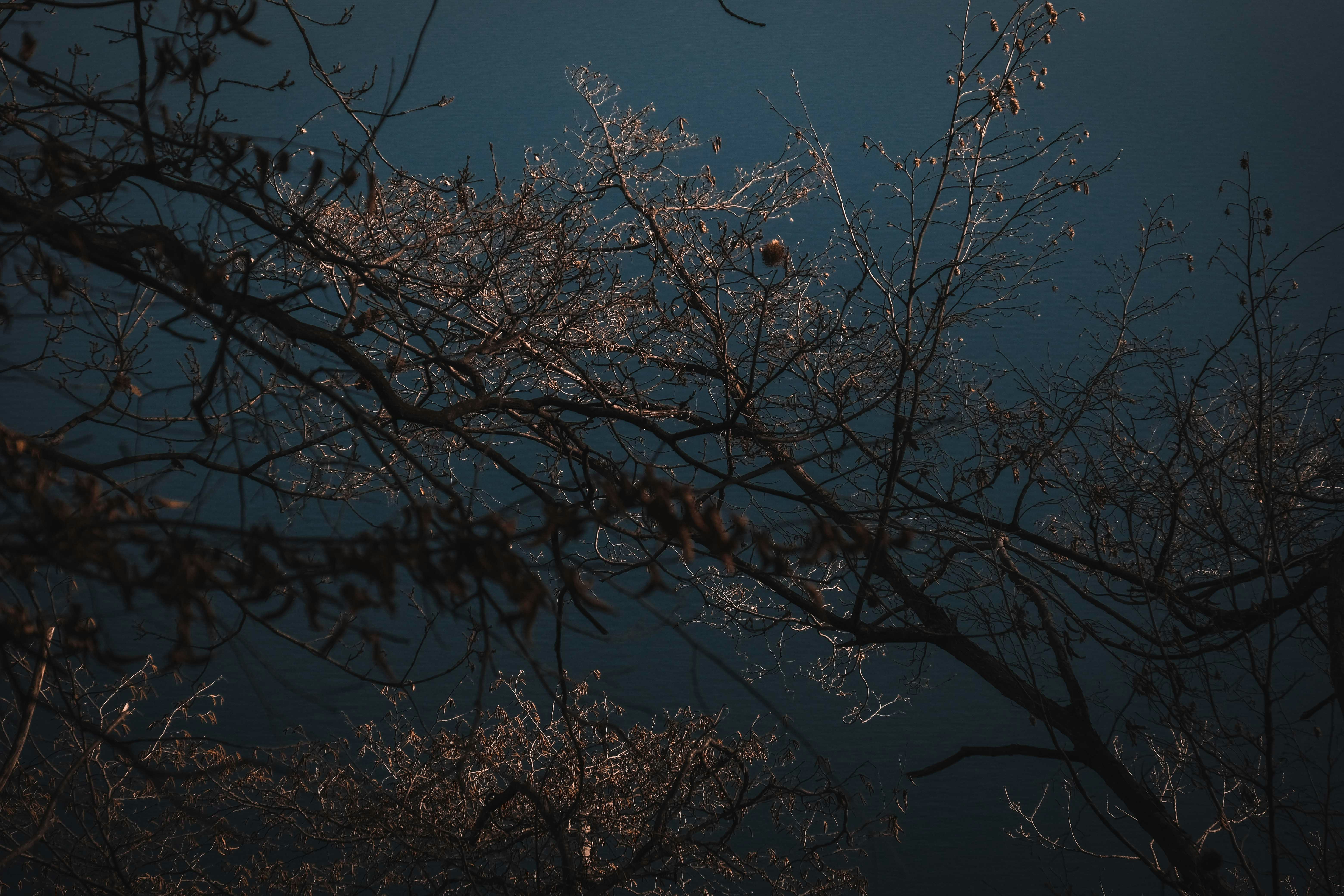 Photo by francesco_ungaro